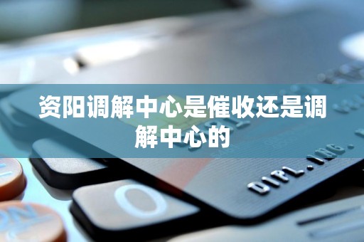 资阳调解中心是催收还是调解中心的