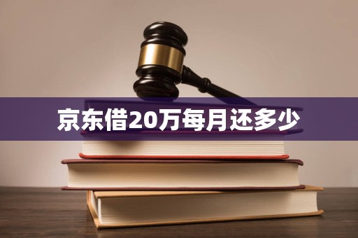 京东借20万每月还多少