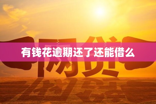 有钱花逾期还了还能借么