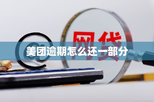 美团逾期怎么还一部分