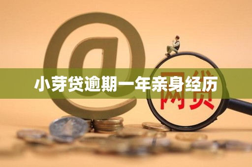 小芽贷逾期一年亲身经历