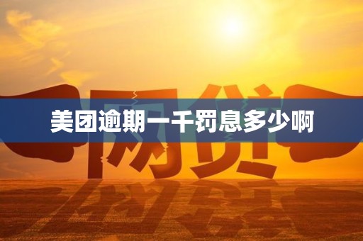 美团逾期一千罚息多少啊