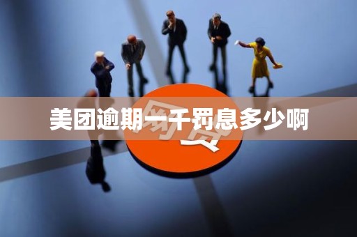 美团逾期一千罚息多少啊