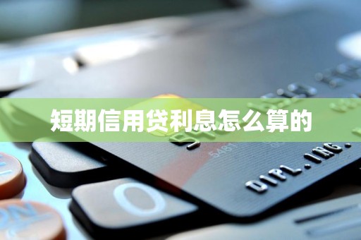 短期信用贷利息怎么算的