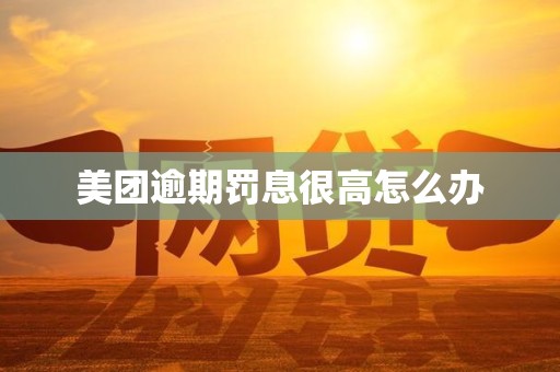 美团逾期罚息很高怎么办