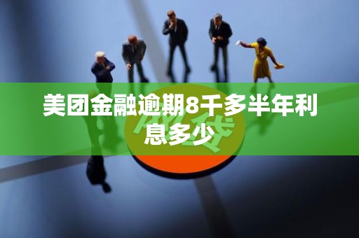 美团金融逾期8千多半年利息多少