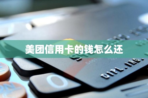 美团信用卡的钱怎么还