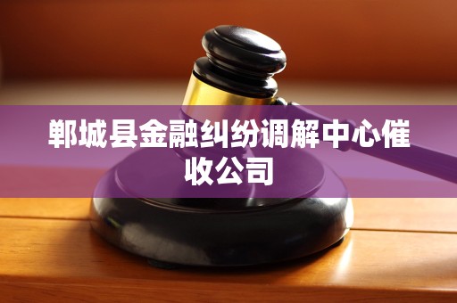 郸城县金融纠纷调解中心催收公司