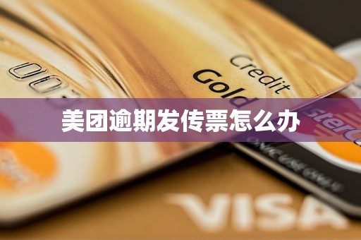 美团逾期发传票怎么办