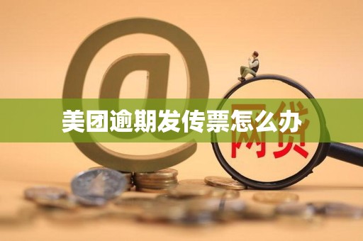 美团逾期发传票怎么办