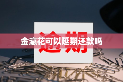 金瀛花可以延期还款吗