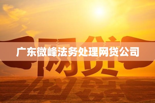广东微峰法务处理网贷公司