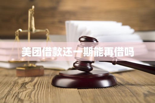 美团借款还一期能再借吗