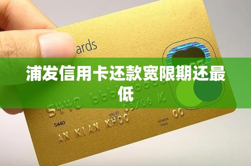 浦发信用卡还款宽限期还最低