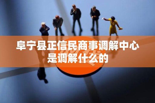 阜宁县正信民商事调解中心是调解什么的