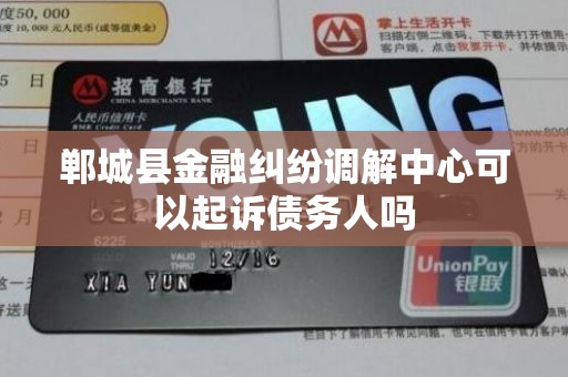 郸城县金融纠纷调解中心可以起诉债务人吗