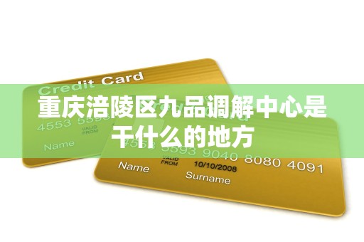 重庆涪陵区九品调解中心是干什么的地方