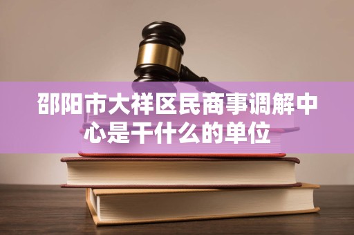 邵阳市大祥区民商事调解中心是干什么的单位
