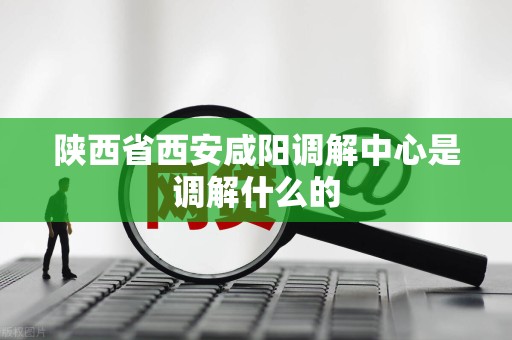 陕西省西安咸阳调解中心是调解什么的