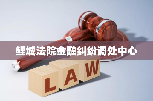 鲤城法院金融纠纷调处中心