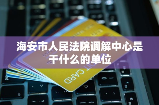 海安市人民法院调解中心是干什么的单位