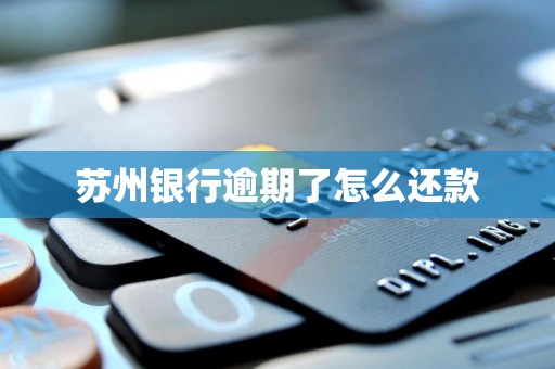 苏州银行逾期了怎么还款