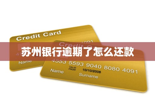 苏州银行逾期了怎么还款
