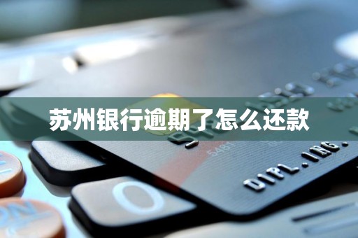 苏州银行逾期了怎么还款