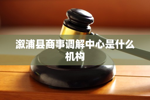 溆浦县商事调解中心是什么机构