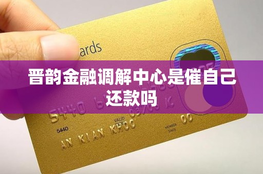 晋韵金融调解中心是催自己还款吗