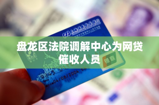 盘龙区法院调解中心为网贷催收人员
