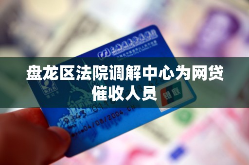 盘龙区法院调解中心为网贷催收人员