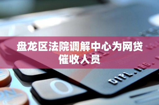 盘龙区法院调解中心为网贷催收人员