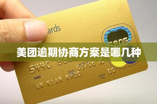 美团逾期协商方案是哪几种