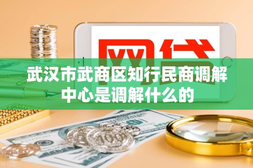 武汉市武商区知行民商调解中心是调解什么的