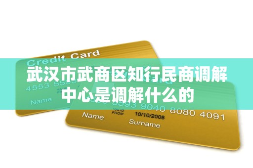 武汉市武商区知行民商调解中心是调解什么的