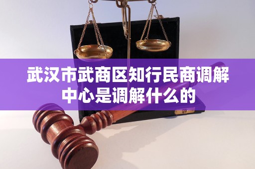 武汉市武商区知行民商调解中心是调解什么的