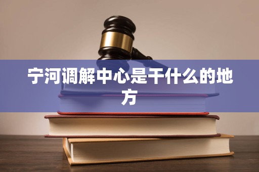 宁河调解中心是干什么的地方