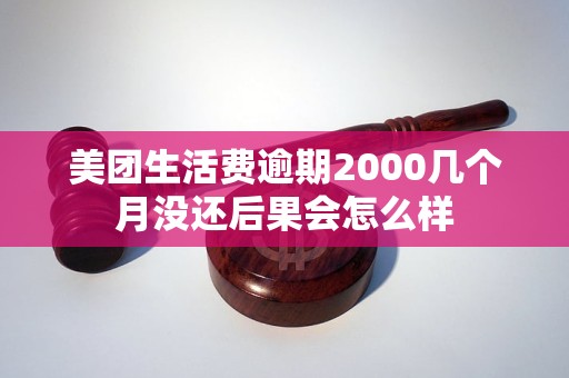美团生活费逾期2000几个月没还后果会怎么样