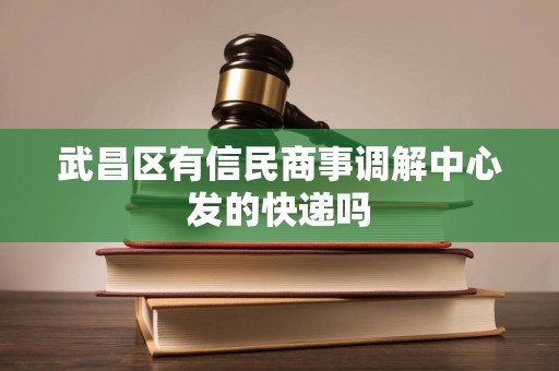 武昌区有信民商事调解中心发的快递吗