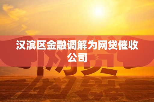 汉滨区金融调解为网贷催收公司