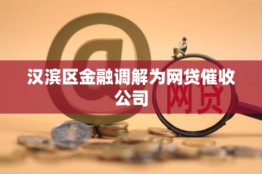 汉滨区金融调解为网贷催收公司