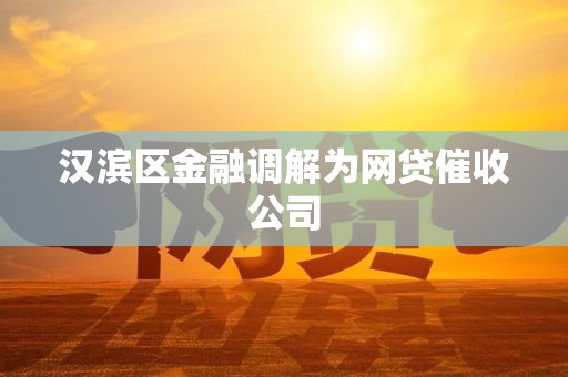 汉滨区金融调解为网贷催收公司