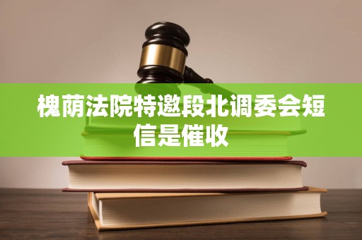 槐荫法院特邀段北调委会短信是催收