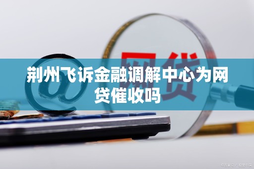 荆州飞诉金融调解中心为网贷催收吗