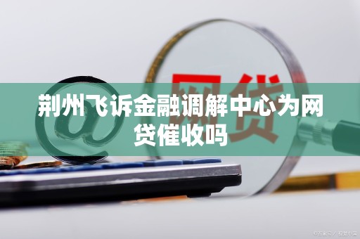 荆州飞诉金融调解中心为网贷催收吗
