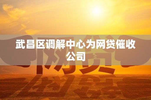 武昌区调解中心为网贷催收公司