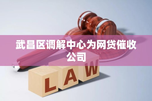 武昌区调解中心为网贷催收公司