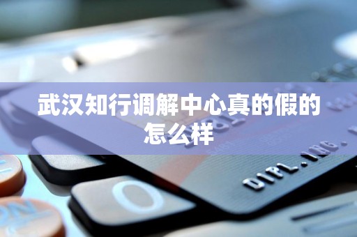 武汉知行调解中心真的假的怎么样