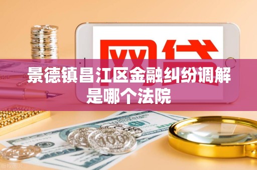 景德镇昌江区金融纠纷调解是哪个法院